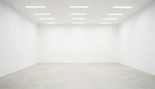 技术使用与维护建议:注重设备稳定性与效率